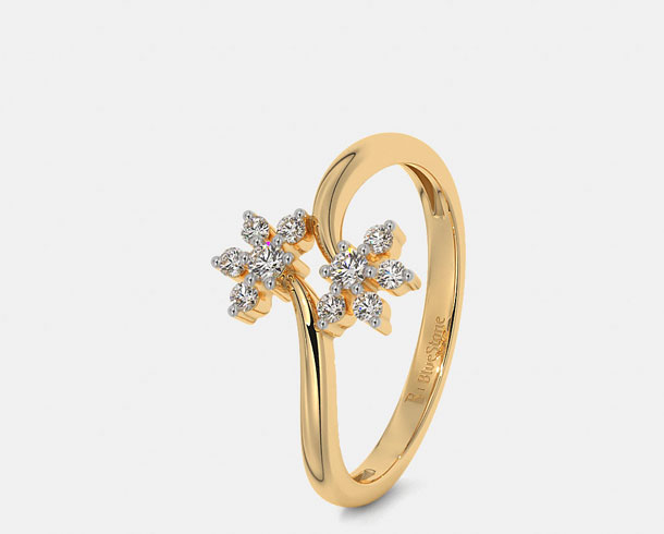 Before editing — Jewelry Multi-Path (Clipping & Multi-Path)